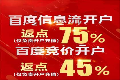 SEM搜索引擎优化：成功案例解析